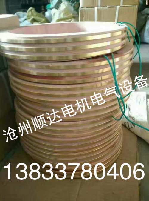 大功率集電環(huán)